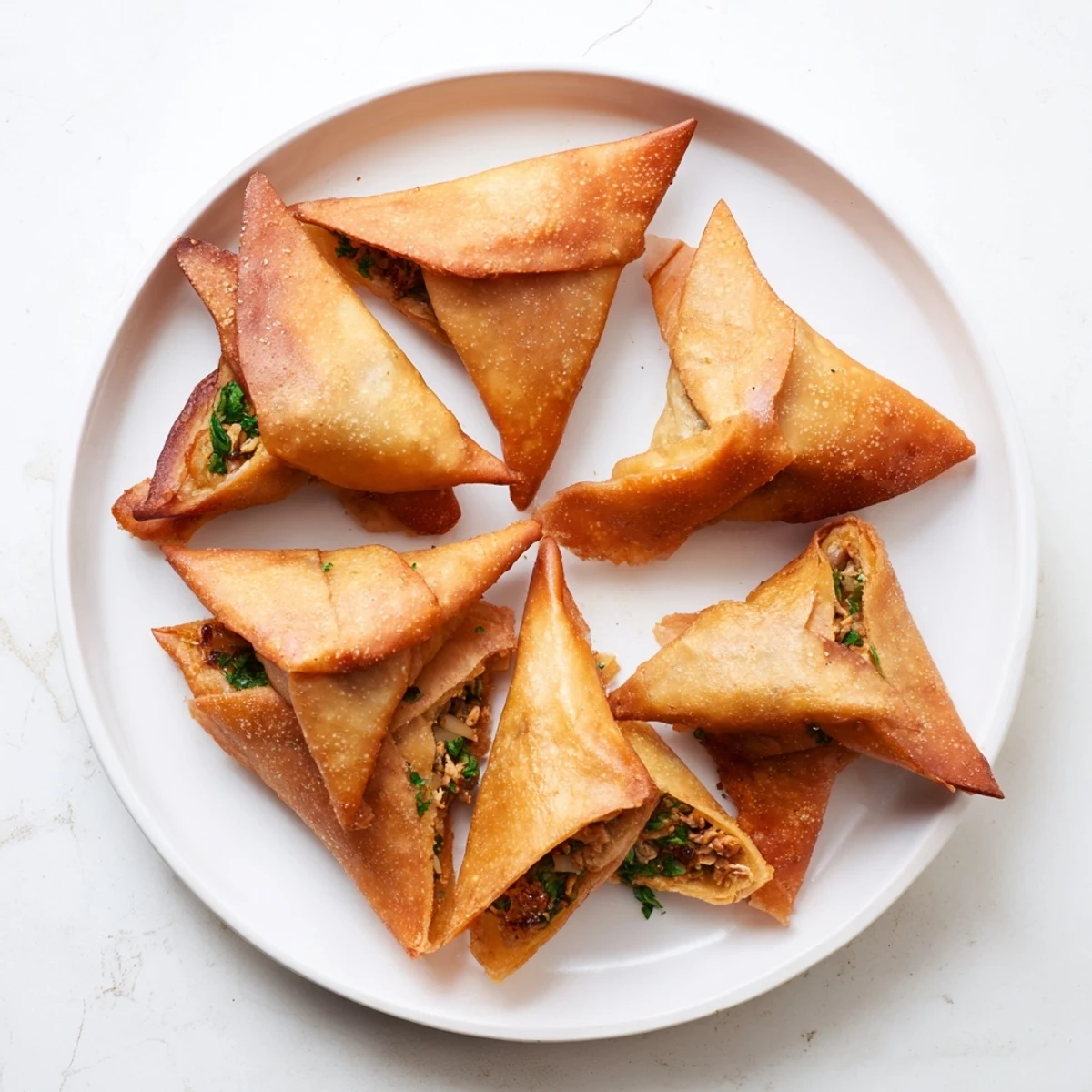 Golden Moroccan chicken briouats arranged on a white serving platter with fresh cilantro garnish